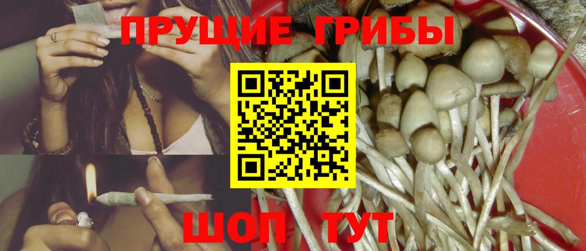 Галлюциногенные грибы MAGIC MUSHROOMS Славянск-на-Кубани